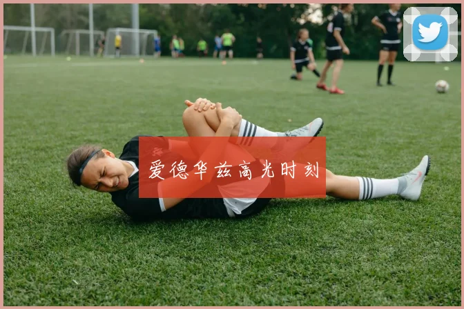 爱德华兹高光时刻
