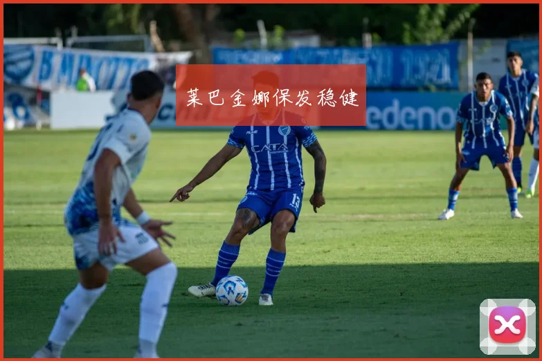 莱巴金娜保发稳健