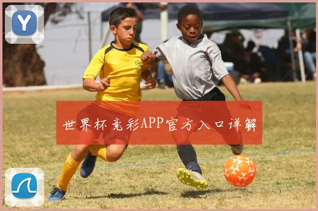 世界杯竞彩APP官方入口详解