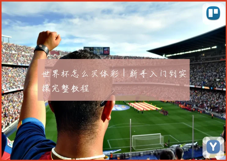 世界杯怎么买体彩｜新手入门到实操完整教程