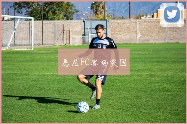 悉尼FC客场突围