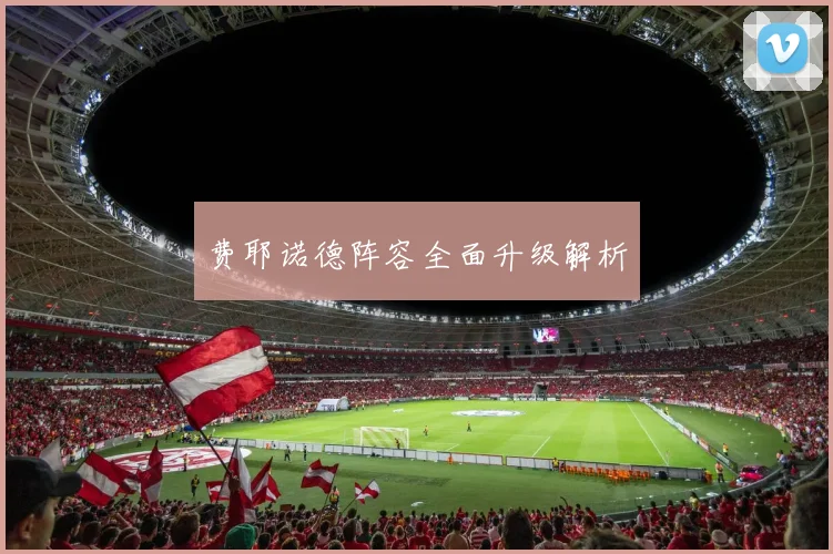 费耶诺德阵容全面升级解析