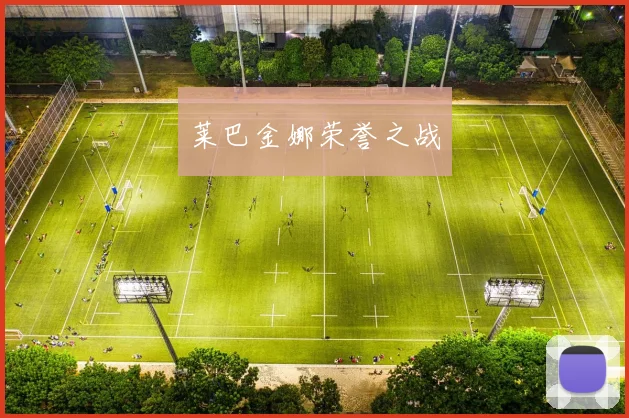 莱巴金娜荣誉之战