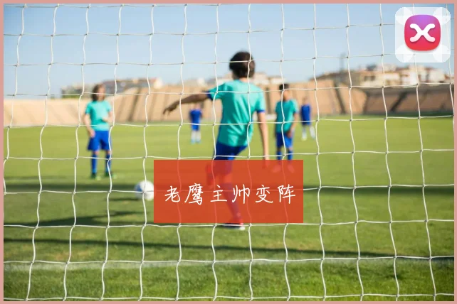 老鹰主帅变阵