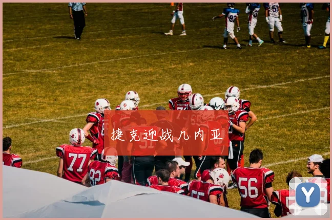 捷克迎战几内亚