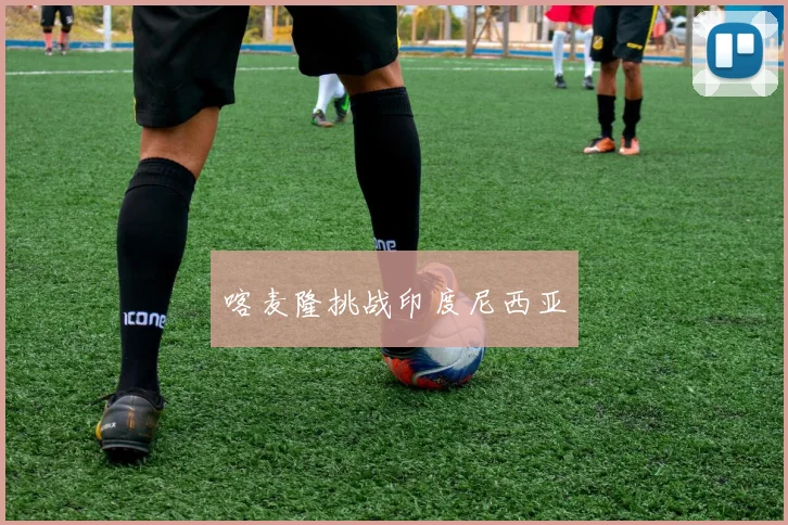 喀麦隆挑战印度尼西亚