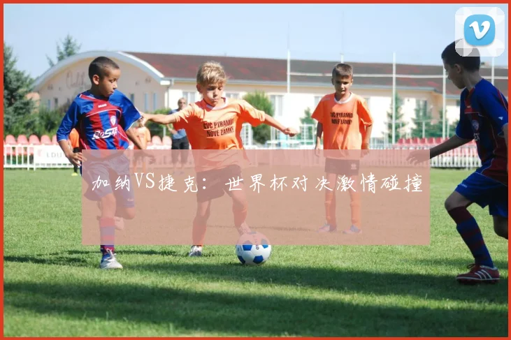 加纳VS捷克：世界杯对决激情碰撞