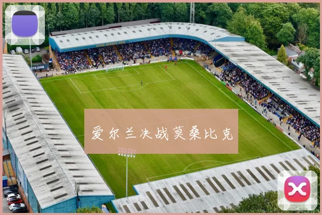 爱尔兰决战莫桑比克