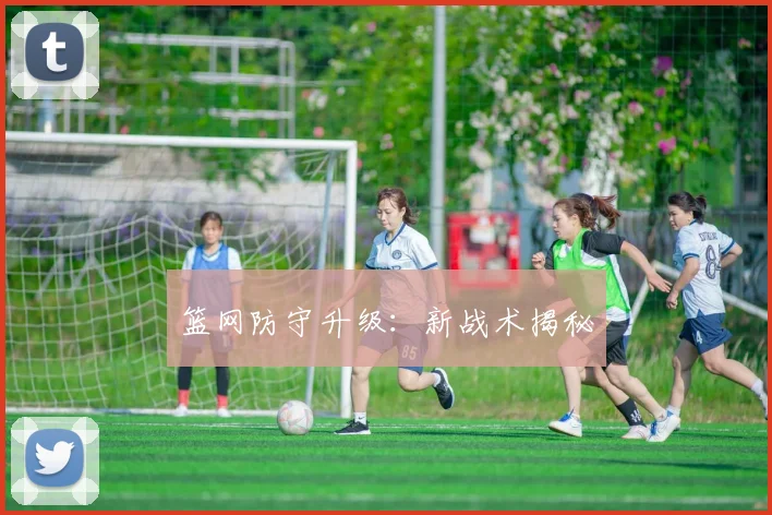 篮网防守升级：新战术揭秘