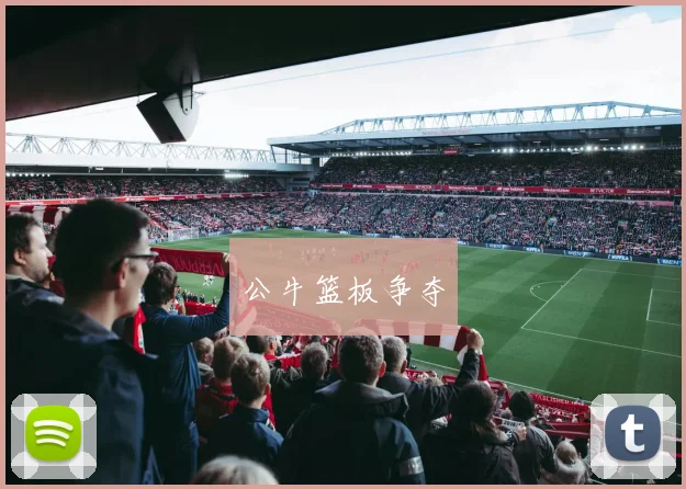 公牛篮板争夺