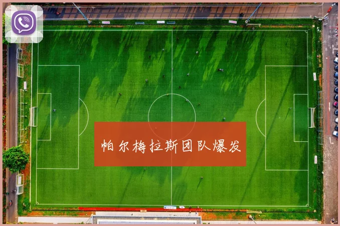 帕尔梅拉斯团队爆发