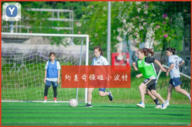 约基奇强碰小波特