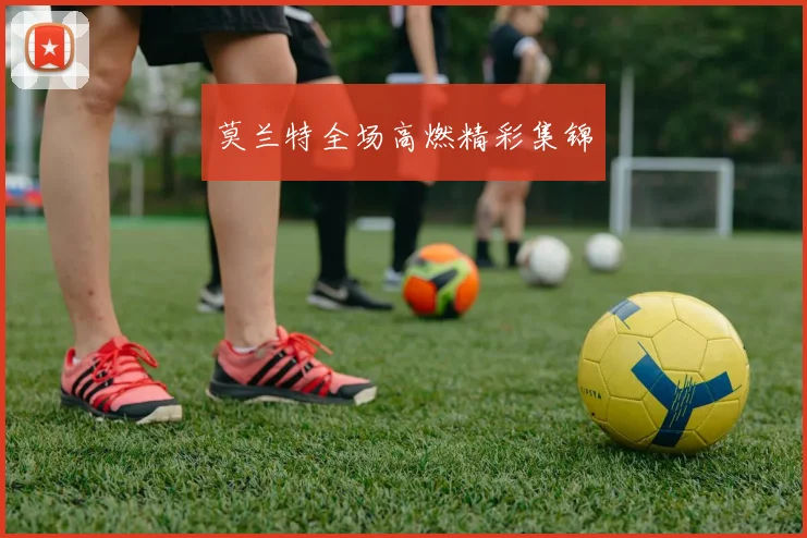 莫兰特全场高燃精彩集锦