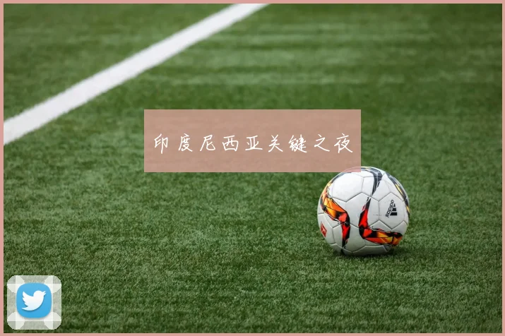 印度尼西亚关键之夜