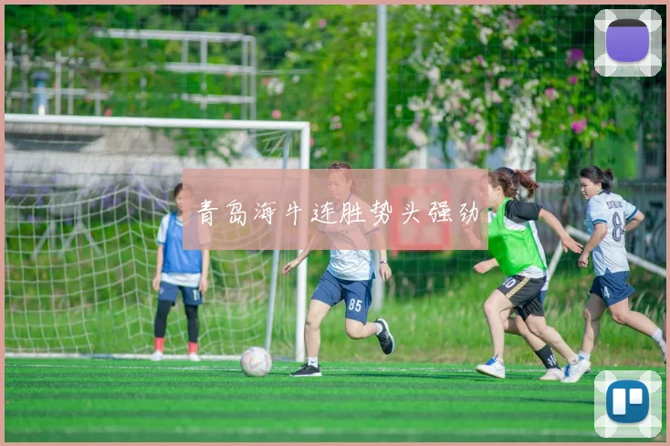 青岛海牛连胜势头强劲
