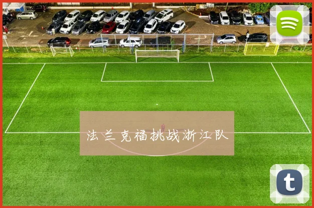 法兰克福挑战浙江队