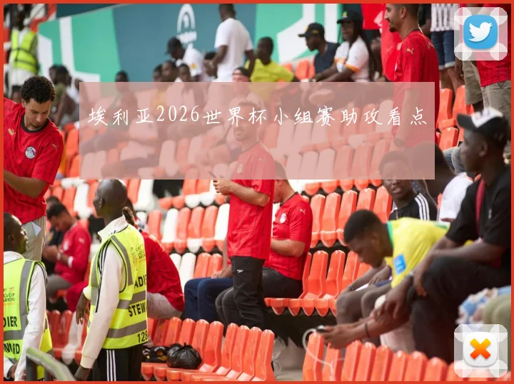 埃利亚2026世界杯小组赛助攻看点