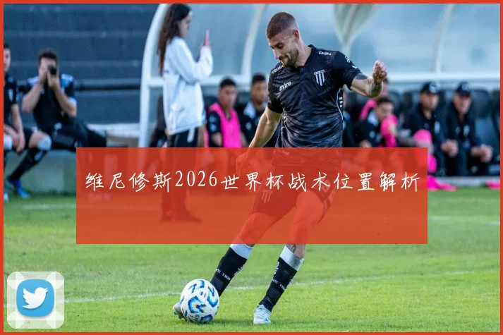 维尼修斯2026世界杯战术位置解析