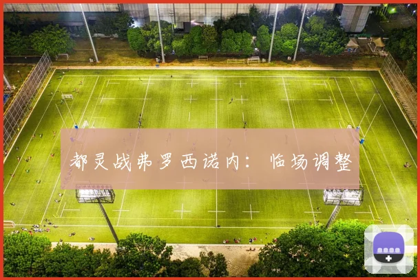 都灵战弗罗西诺内：临场调整